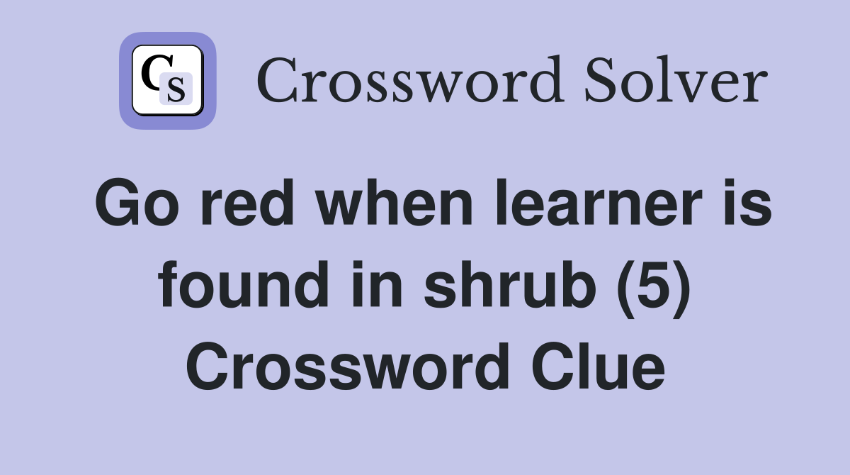 Go red when learner is found in shrub (5) Crossword Clue Answers Crossword Solver
